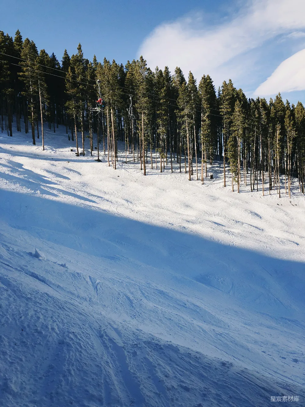高清摄影 雪场 缆车 松树林 冬季运动 户外活动 雪场缆车与松树林