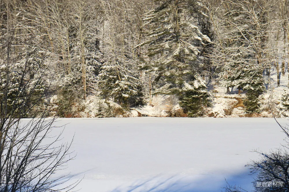 高清摄影 冬景 雪景 自然风光 宁静 冬季 冬日湖畔雪景