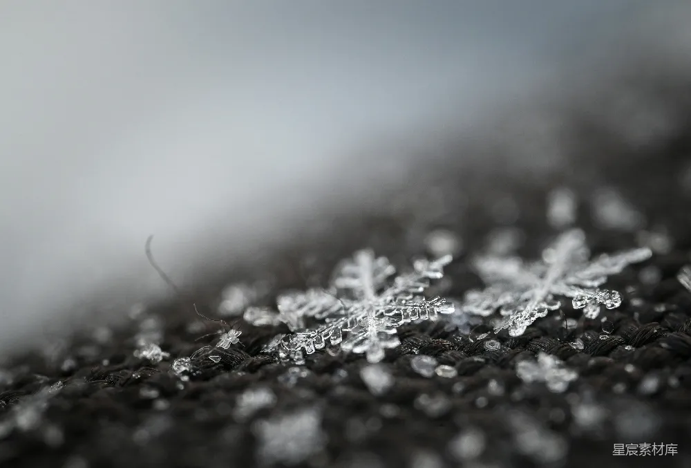 高清摄影 冰晶 雪花 特写 自然 冬季 冰晶雪花的特写