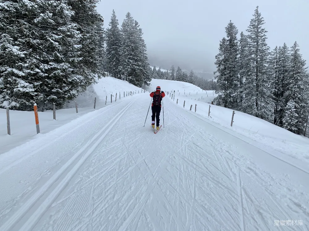 高清摄影 滑雪 冬季 自然风光 户外运动 休闲 冬日滑雪道上的孤独身影