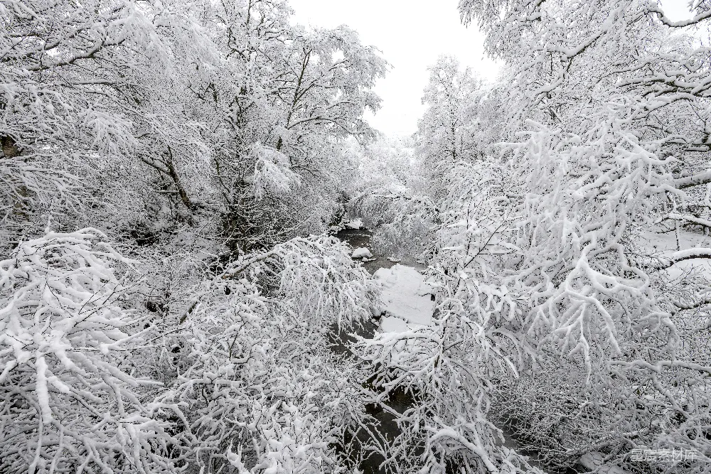 高清摄影 冬景 雪景 自然风光 户外 冬季 冬日雪景中的小溪