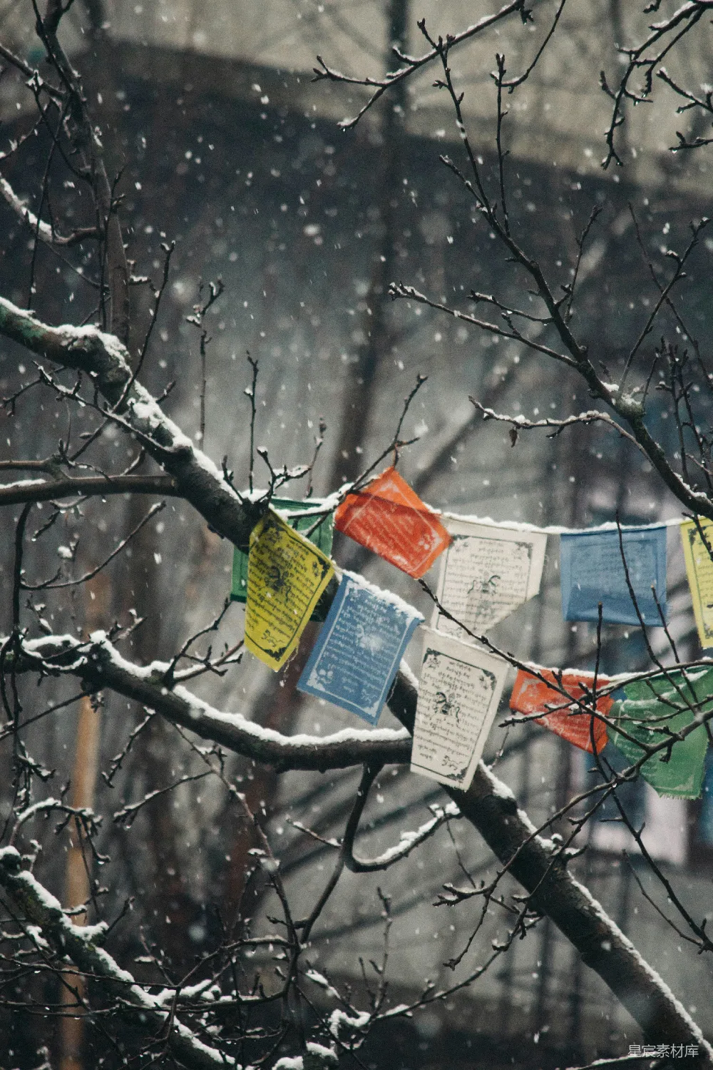 高清摄影 雪景 祈愿旗 冬季 自然 宗教 雪中的祈愿旗