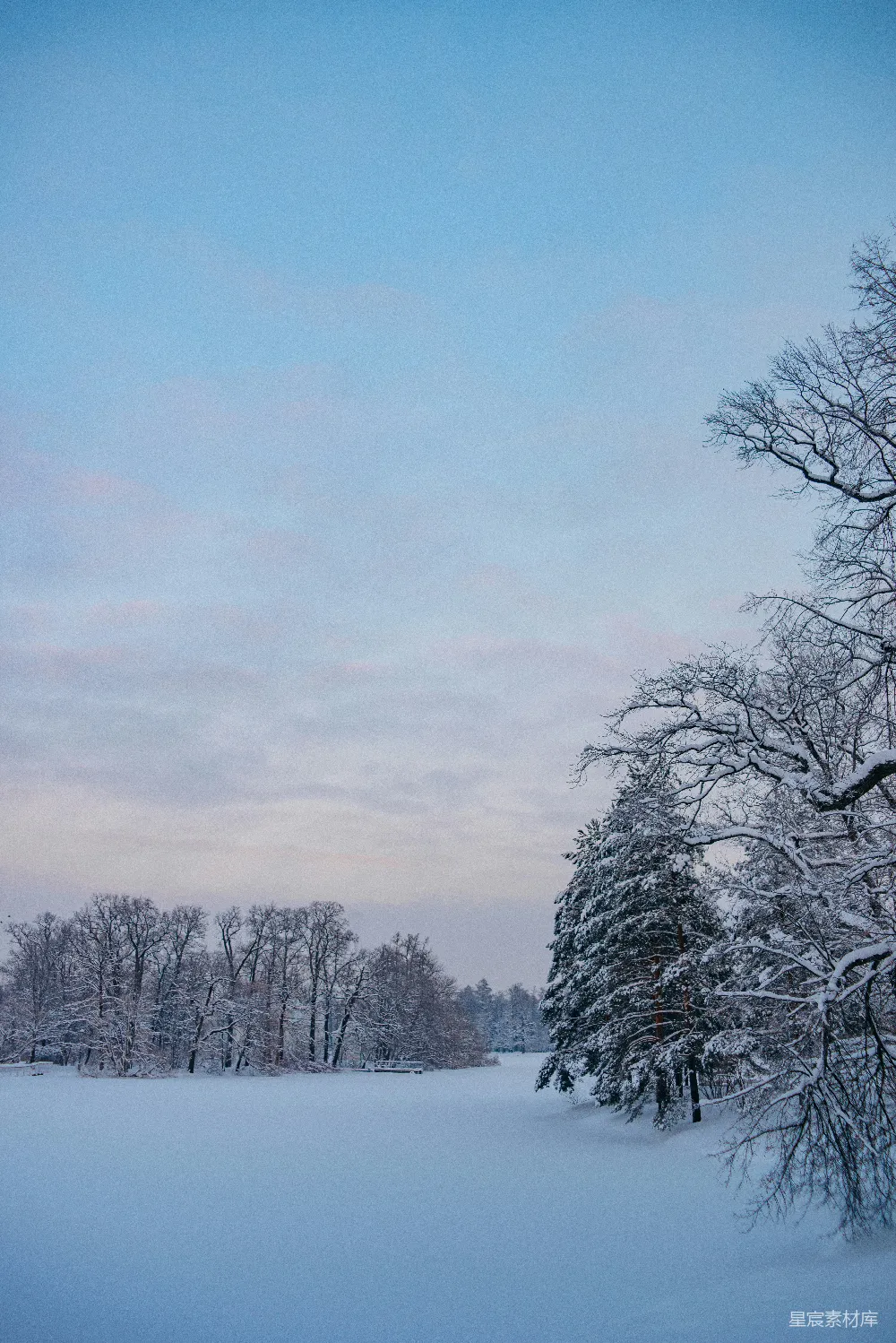 高清摄影 雪景 冬季 自然风光 宁静 户外 冬日雪景