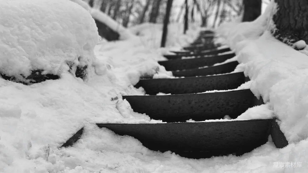 高清摄影 雪景 黑白 冬日 静谧 自然 雪中的铁阶