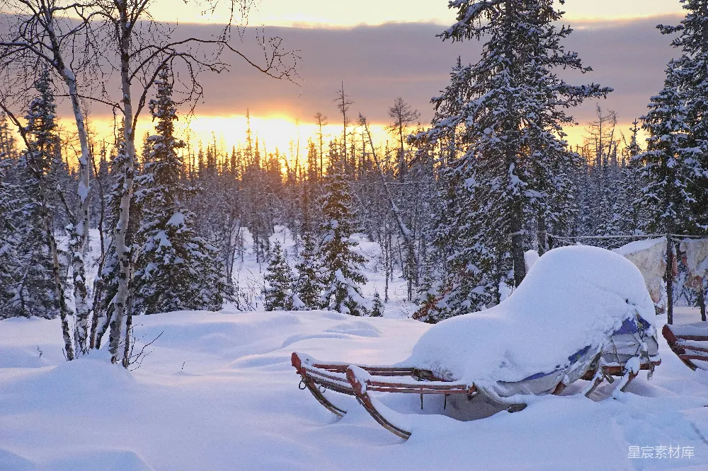 高清摄影 冬季 雪景 自然风光 雪橇 夕阳 冬日雪景中的雪橇与夕阳