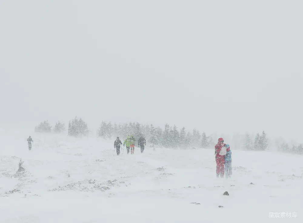 高清摄影 雪地 远足 冬季 户外活动 自然 冬日雪地远足记