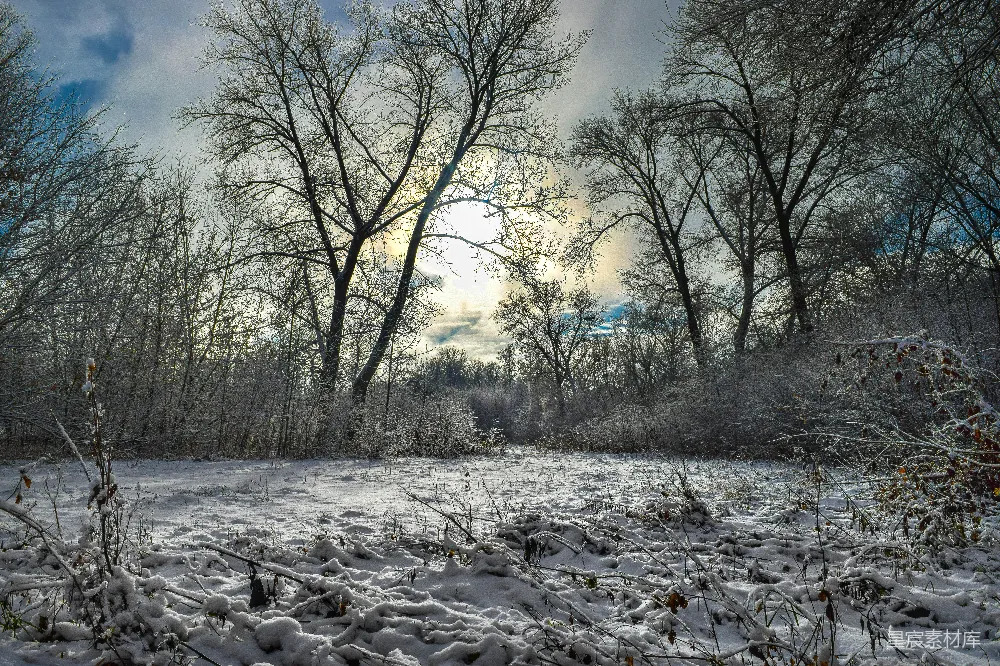 高清摄影 冬季 雪景 自然风光 阳光 户外 冬日雪景：阳光穿透云层