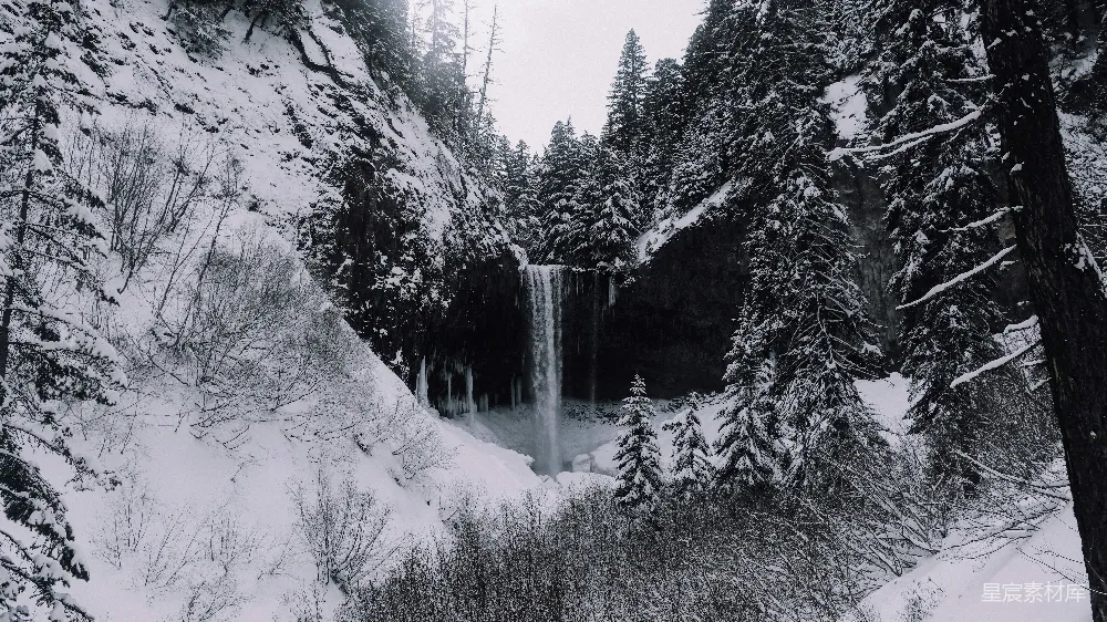 高清摄影 冬季 自然风光 瀑布 雪景 宁静 冬日雪景中的瀑布