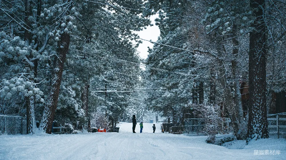 高清摄影 雪景 冬日 自然风光 户外活动 家庭时光 雪后宁静的林间小路