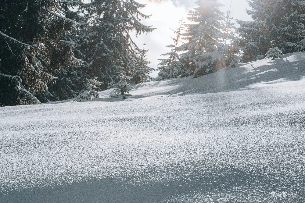 高清摄影 雪景 冬季 自然 宁静 户外 冬日雪景