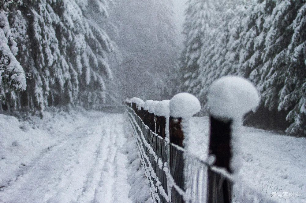 高清摄影 雪景 冬季 自然 宁静 风景 雪覆木栅栏