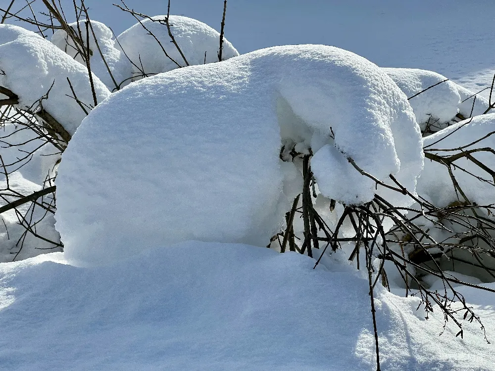 高清摄影 雪景 冬季 自然 户外 宁静 冬日雪堆