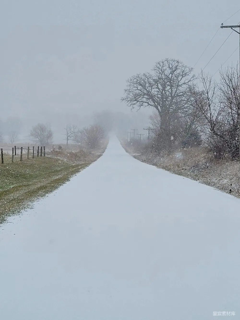 高清摄影 冬日 雪景 乡村 宁静 自然 冬日雪景中的乡间小路