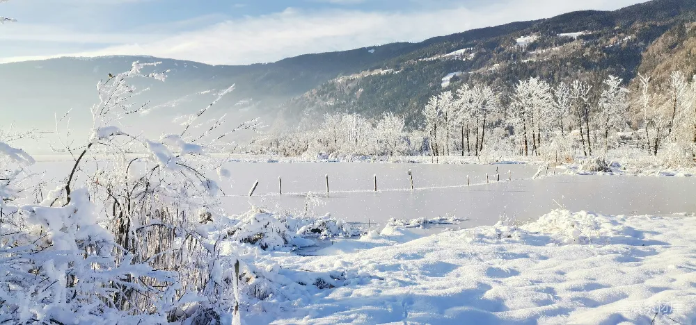 高清摄影 雪景 湖畔 冬季 自然风光 宁静 冬日雪景中的宁静湖畔