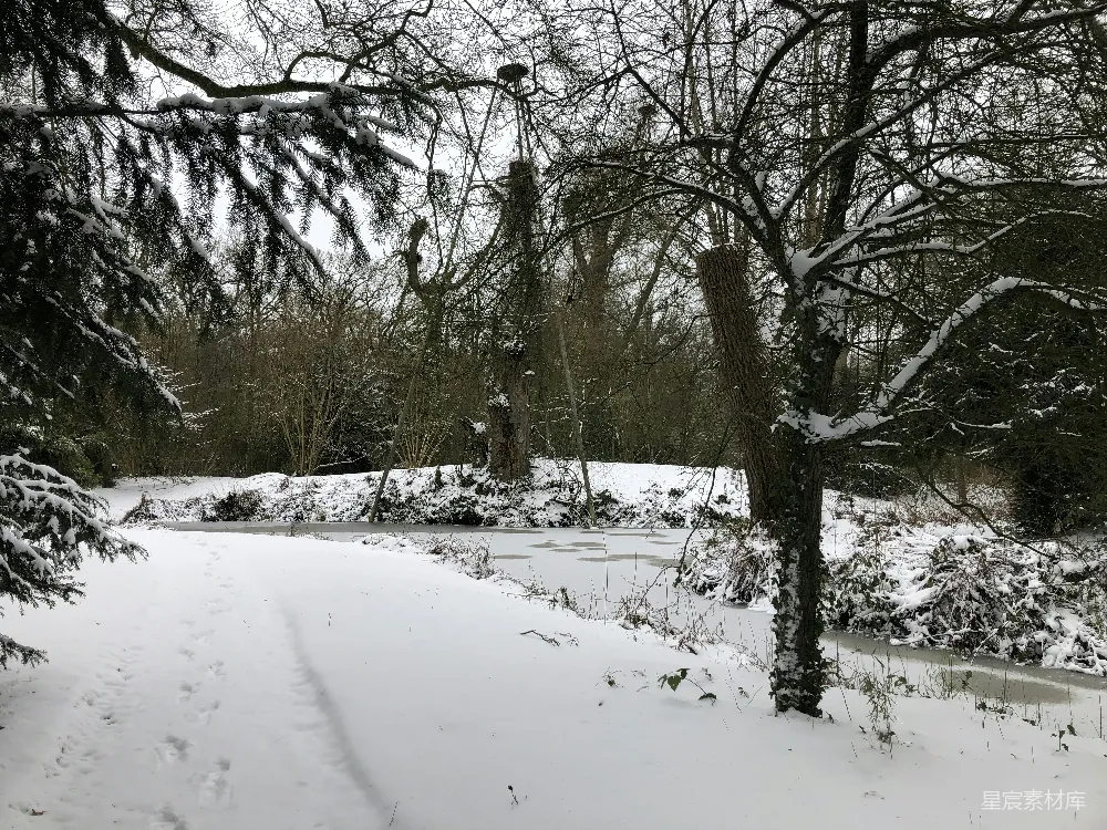 高清摄影 冬季 雪景 小河 自然风光 宁静 冬日雪景中的宁静小河