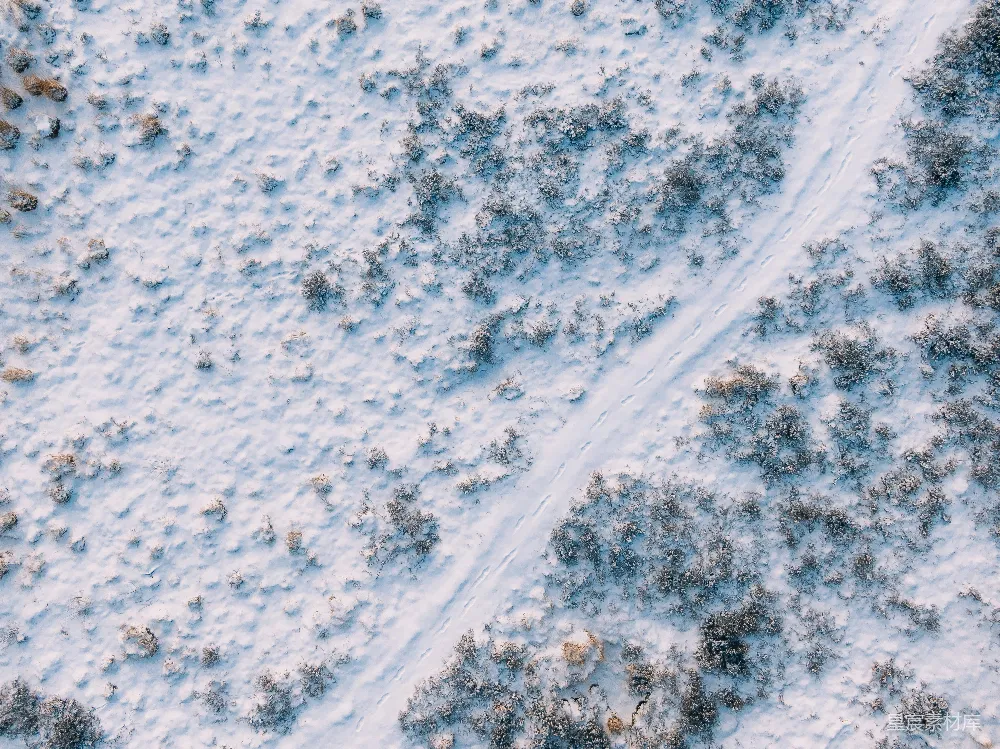 高清摄影 雪地 足迹 航拍 自然 宁静 雪地中的足迹