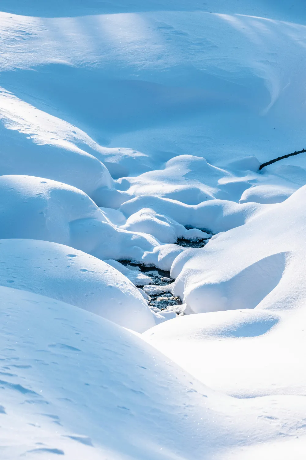 高清摄影 雪景 自然风光 冬季 纯净 宁静 雪地中的小溪