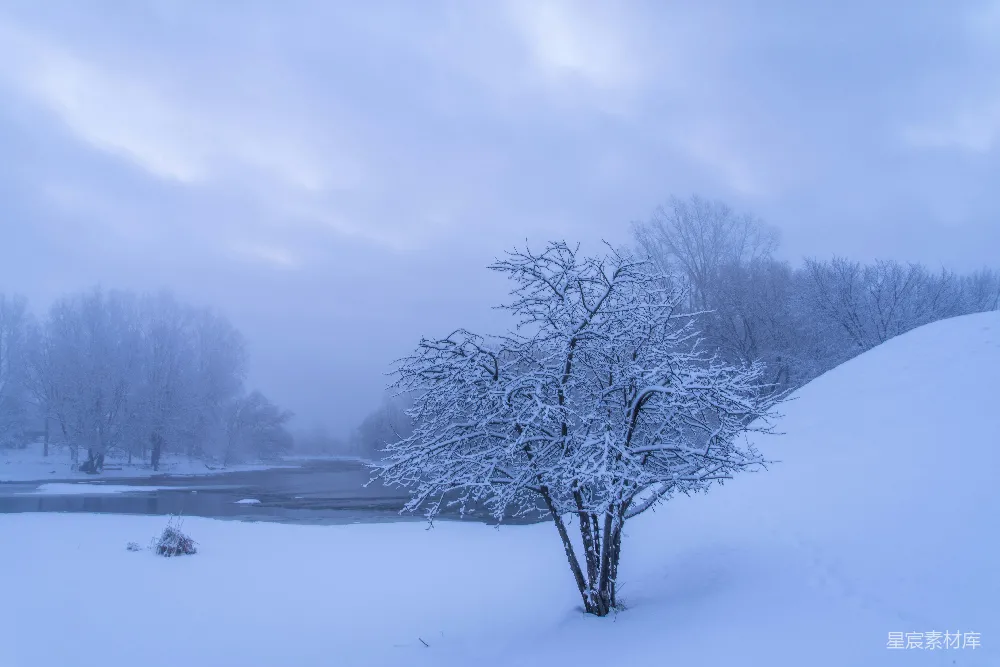 高清摄影 冬景 雪景 自然风光 宁静 冬季 冬日静谧雪景