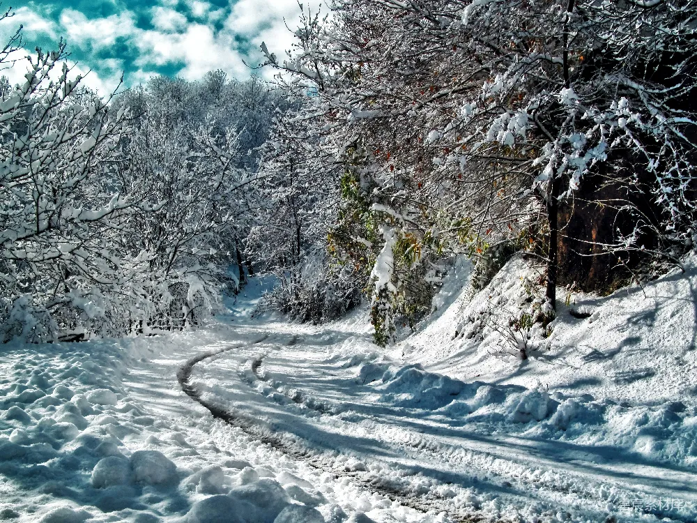 高清摄影 冬季 雪景 森林 自然风光 户外 冬日雪景下的森林小径
