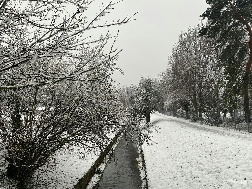 高清摄影 雪景 自然风光 冬季 宁静 乡村 冬日雪景中的小溪