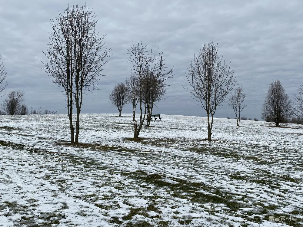 高清摄影 冬季 雪地 自然景观 孤独 宁静 冬日雪景中的孤木