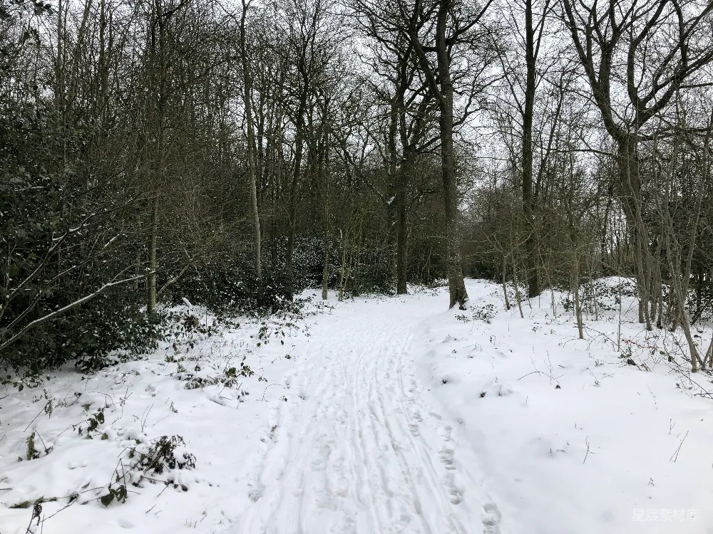 高清摄影 雪景 自然 冬日 宁静 户外 雪后的森林小径