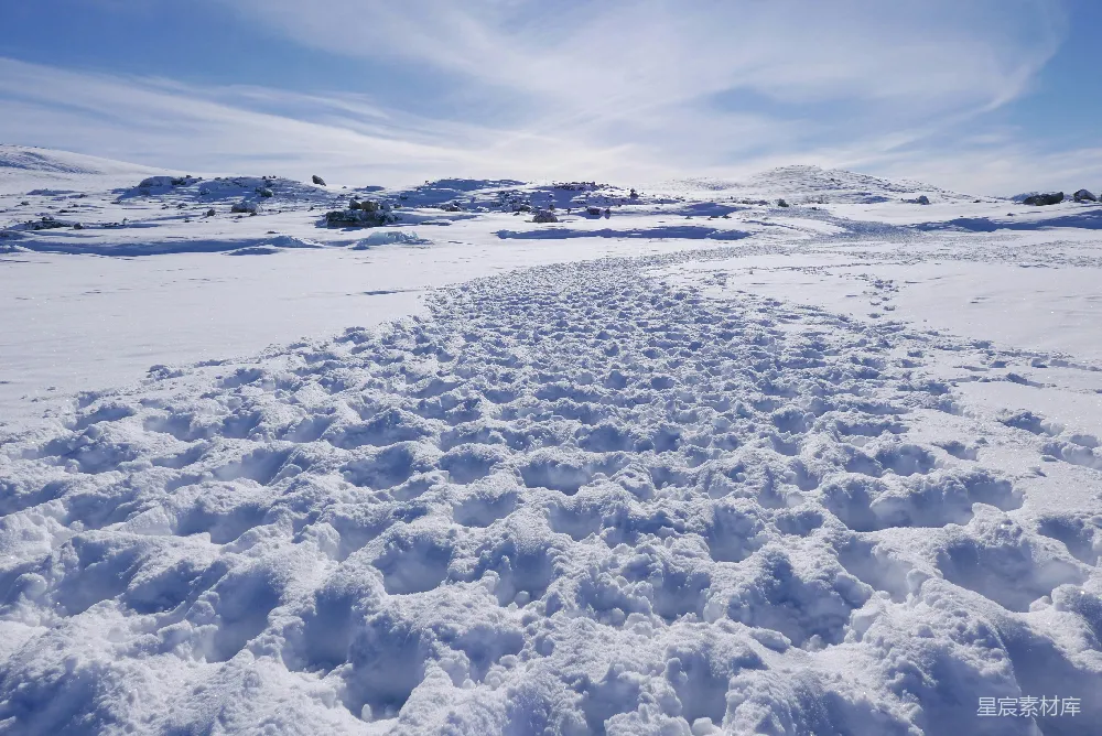 高清摄影 雪地 动物足迹 自然风光 户外 冬季 雪地上的动物足迹