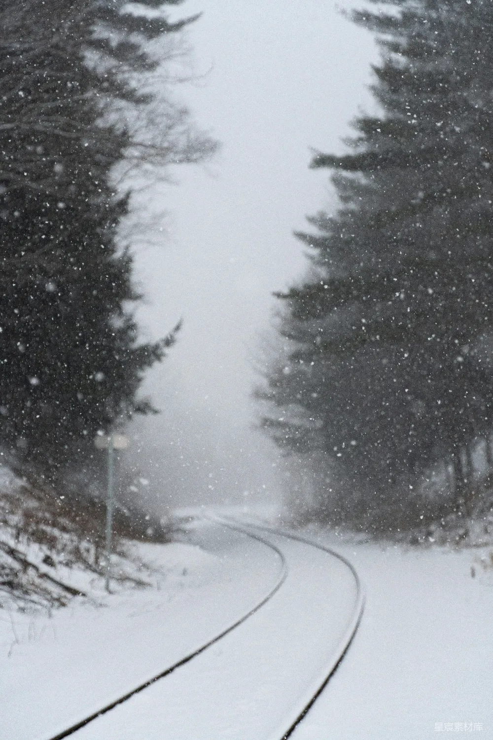 高清摄影 雪景 铁路 冬日 自然 宁静 雪中森林的铁路