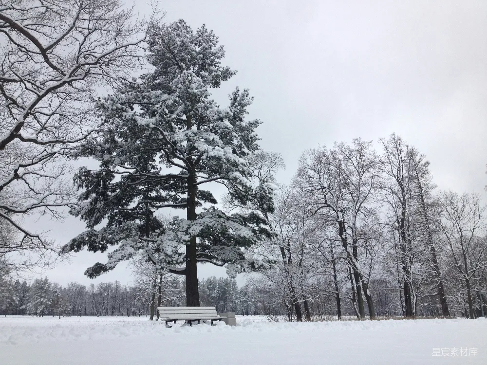 高清摄影 雪景 冬季 公园 宁静 自然 冬日雪景中的静谧长椅