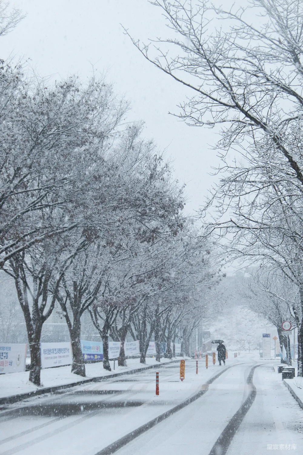 高清摄影 雪景 冬季 街道 自然 风景 雪中的街道