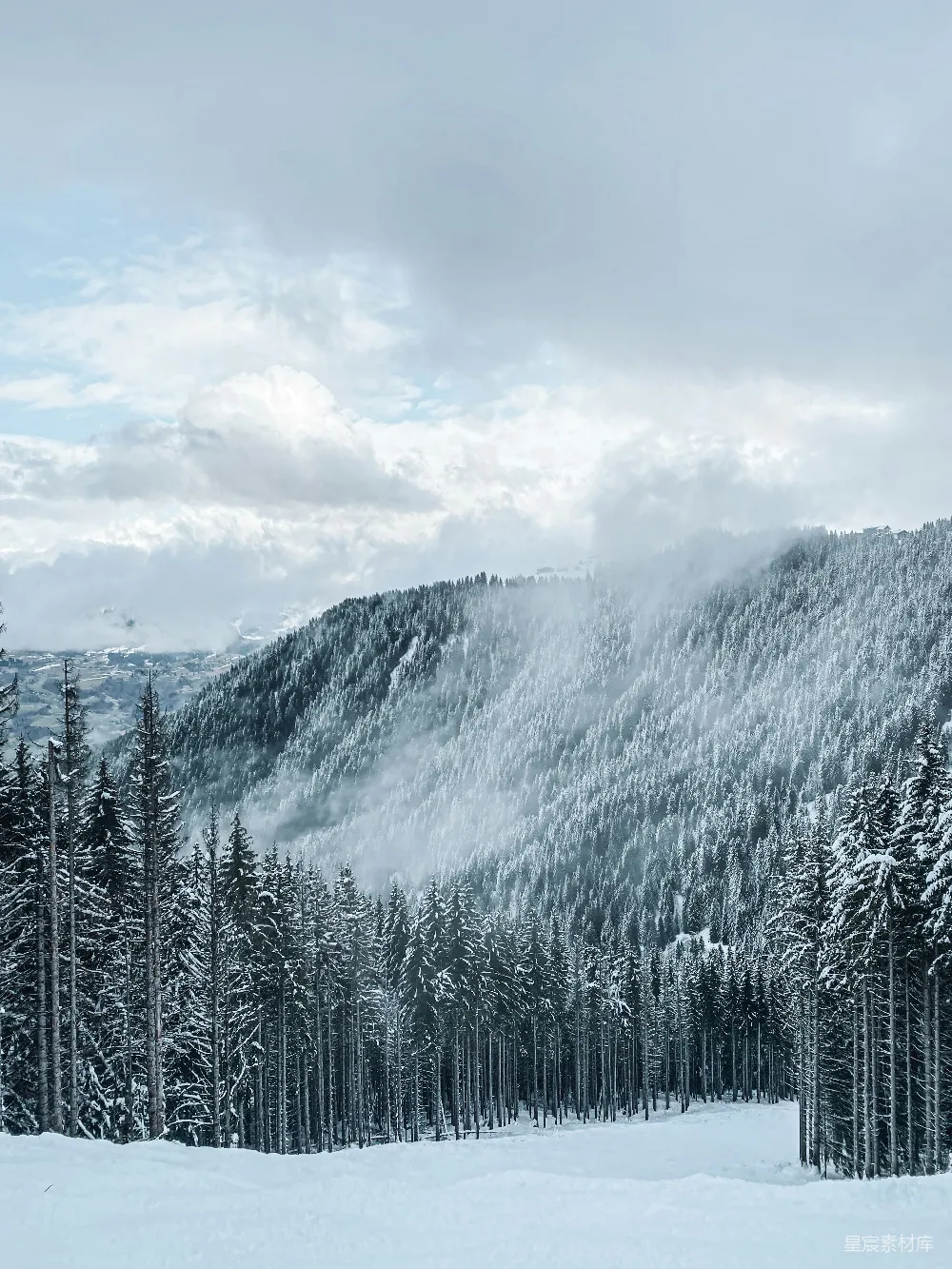 高清摄影 冬日 雪景 松林 云雾 自然 冬日雪景中的松林与云雾