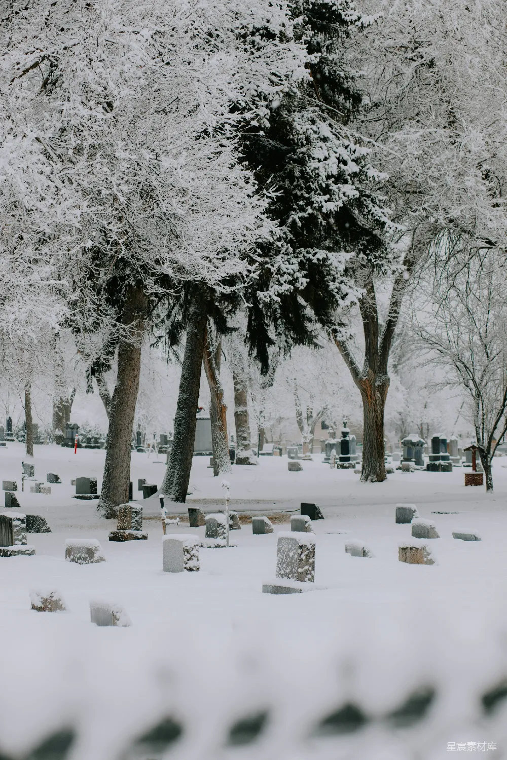 高清摄影 雪景 墓地 宁静 冬天 自然 雪中的墓地