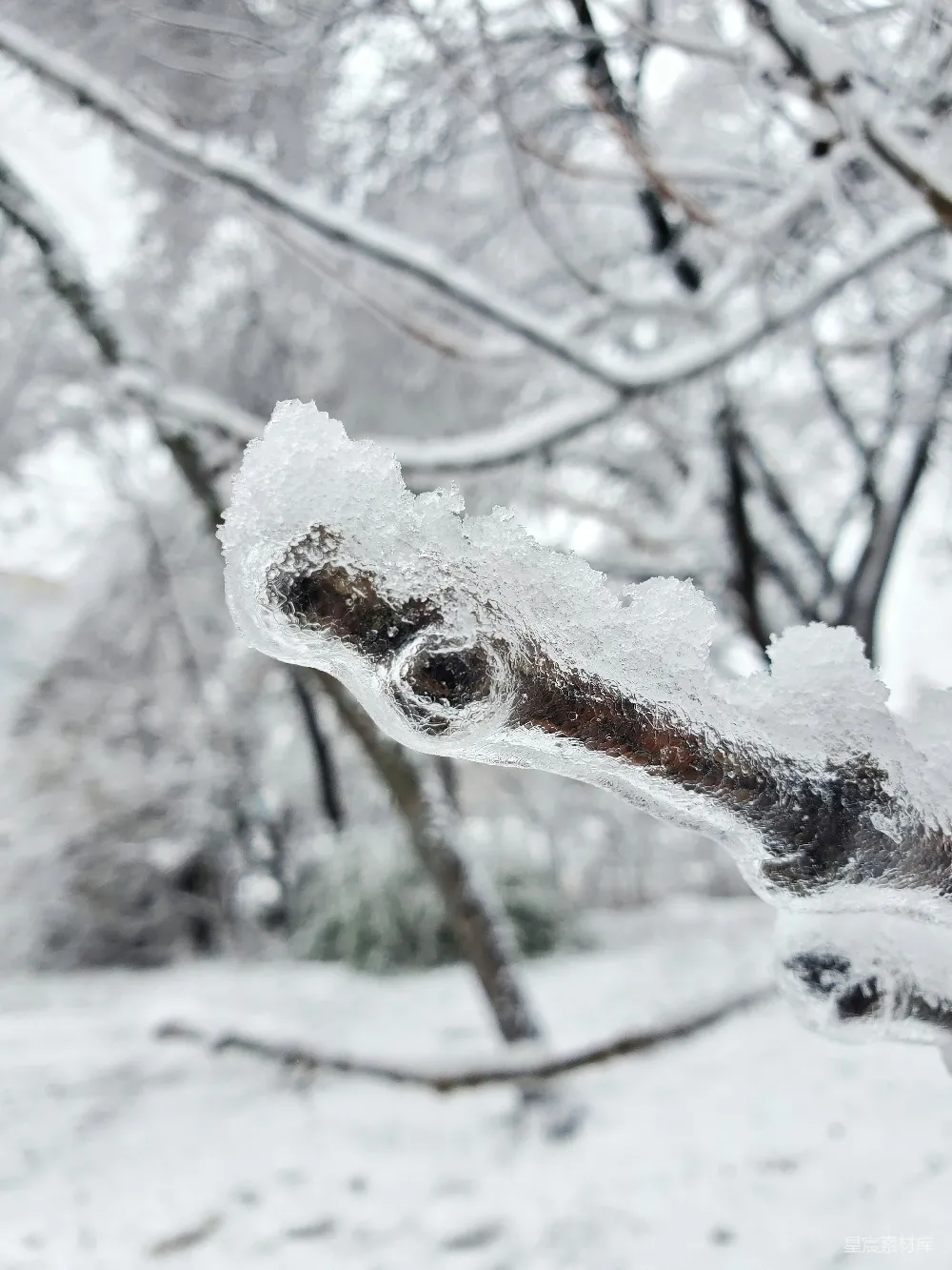 高清摄影 冬景 自然之美 冰挂 雪景 冬季 冬日的冰挂