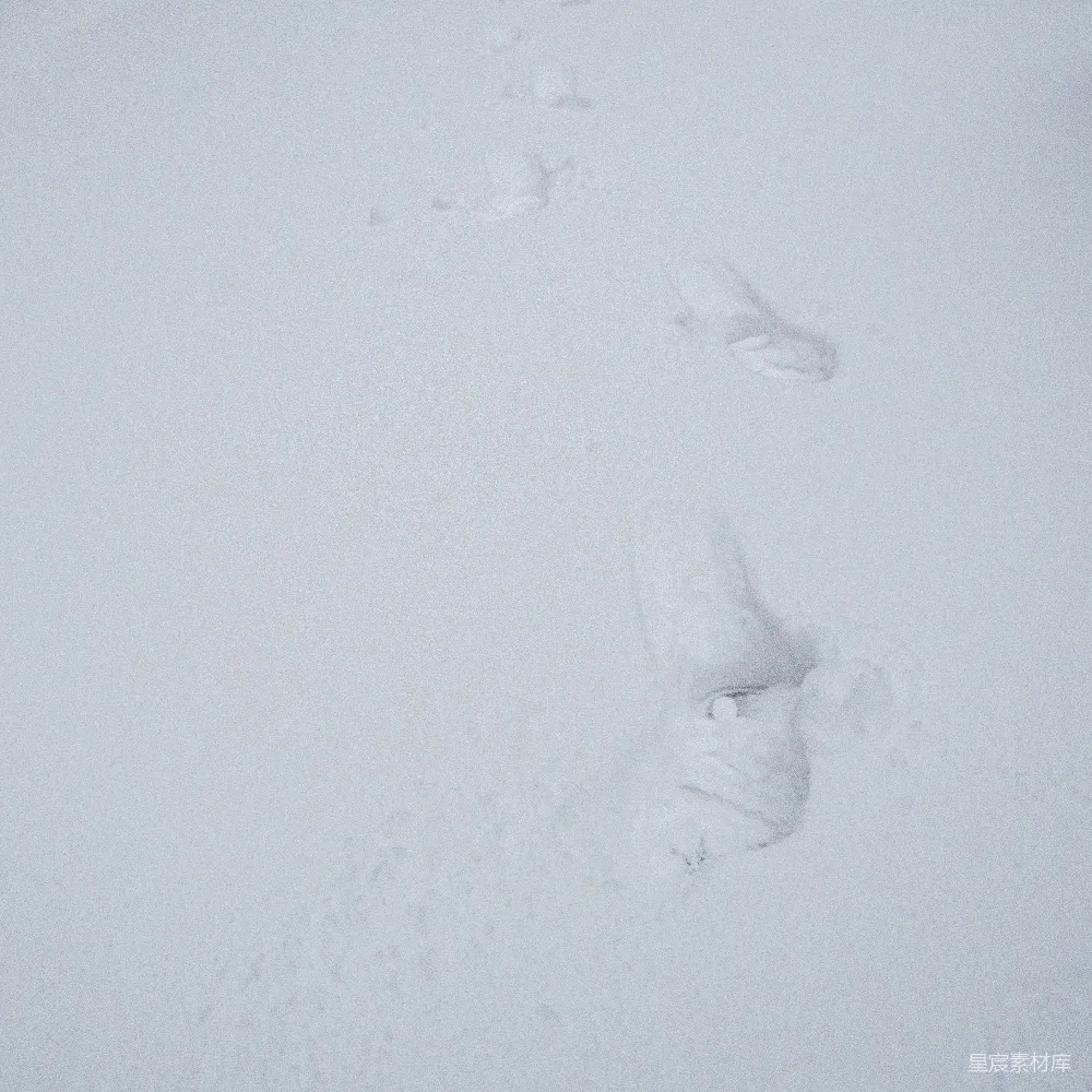 高清摄影 雪地 足迹 自然 户外 冬天 雪地中的足迹
