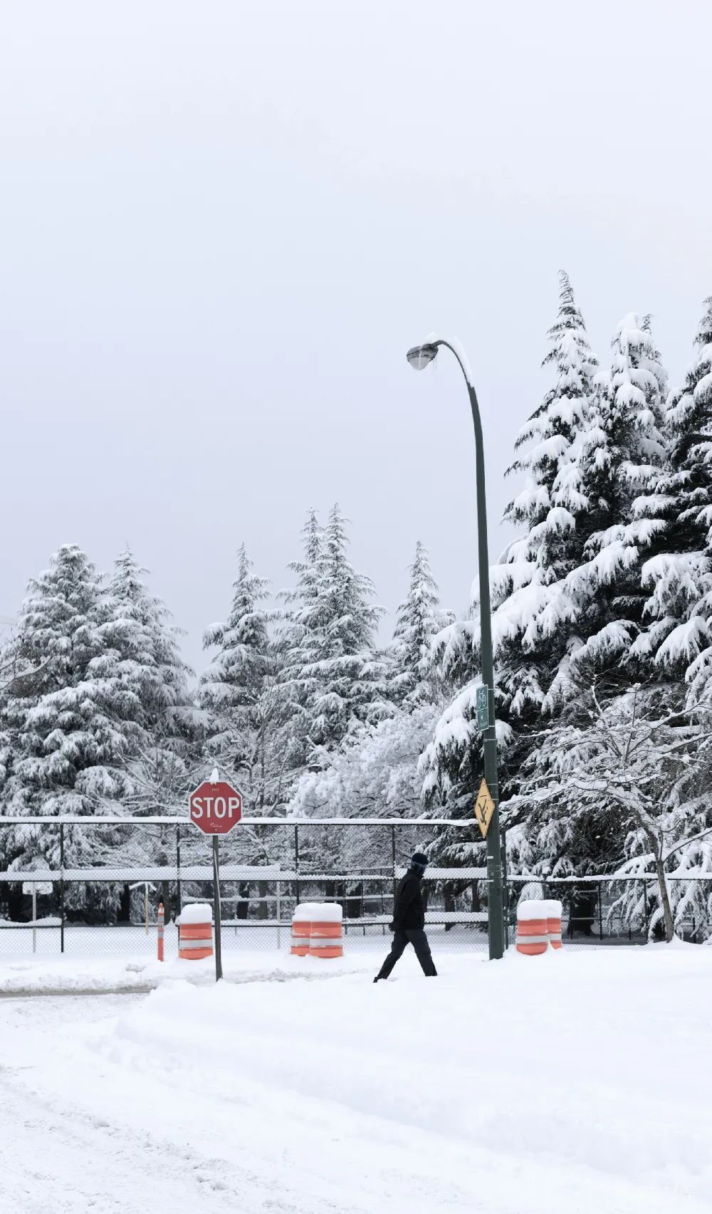 高清摄影 雪景 城市 冬天 街道 雪地 雪中的街角