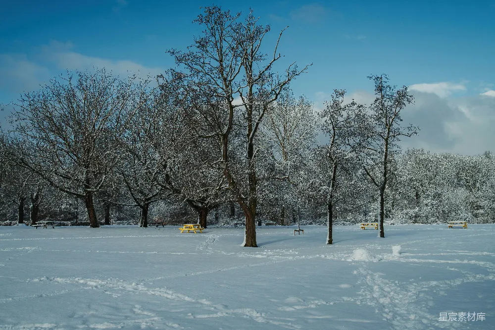 高清摄影 雪景 冬季 公园 自然风光 户外 冬日雪景中的宁静公园