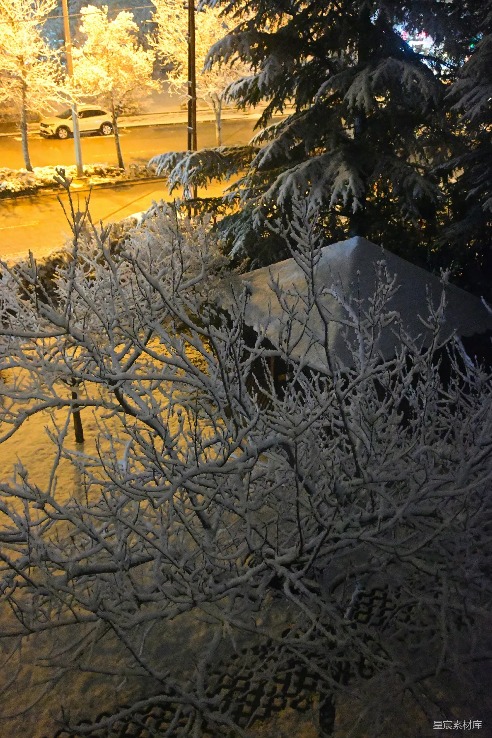 高清摄影 雪景 冬夜 城市 自然 宁静 雪夜里的枝头与街道