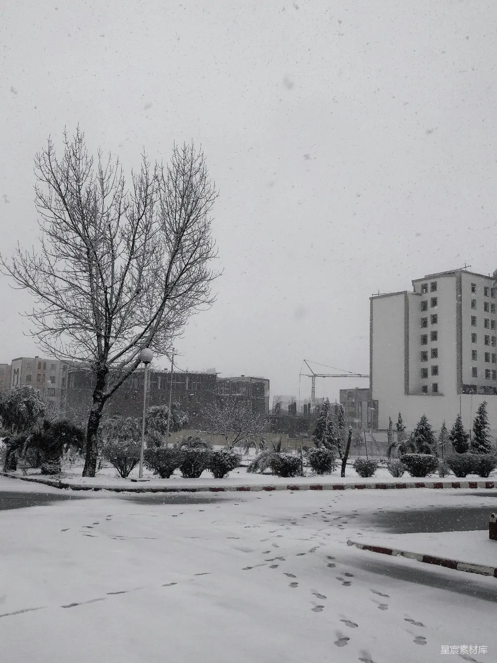 高清摄影 雪景 城市 冬季 自然 宁静 冬日雪景下的城市角落