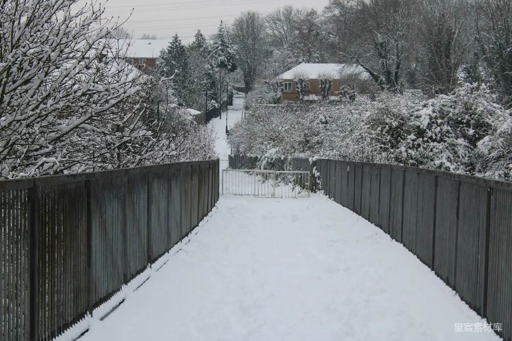 高清摄影 雪景 乡村 宁静 冬日 自然 雪后的宁静小径