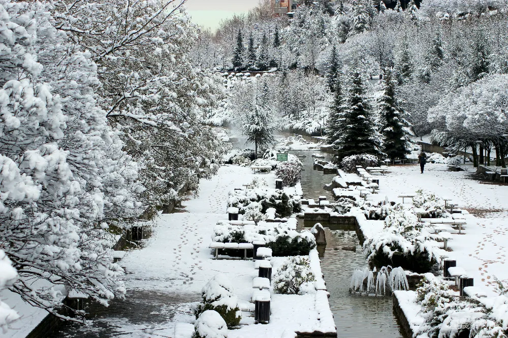 高清摄影 雪景 公园 冬季 自然 宁静 冬日雪景中的宁静公园