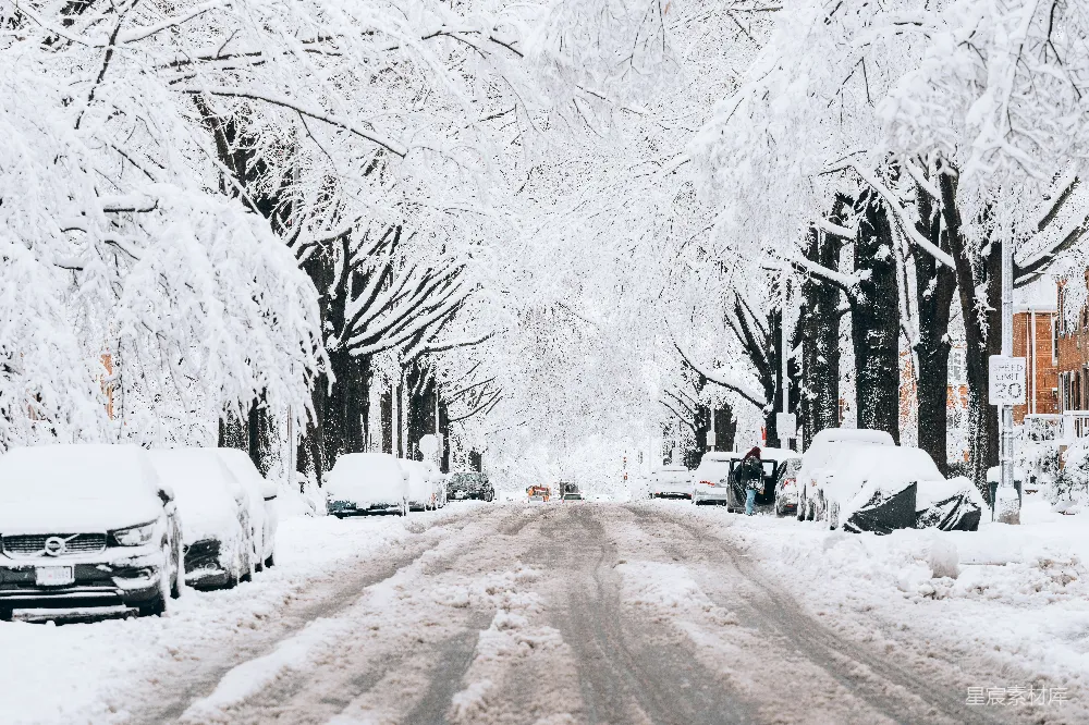高清摄影 雪景 冬季 城市街道 自然风光 宁静 雪后静谧的街道