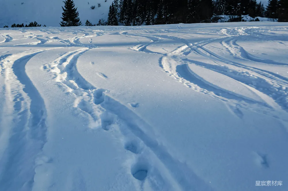 高清摄影 雪地 足迹 自然 动物 冬日 雪地中的动物足迹