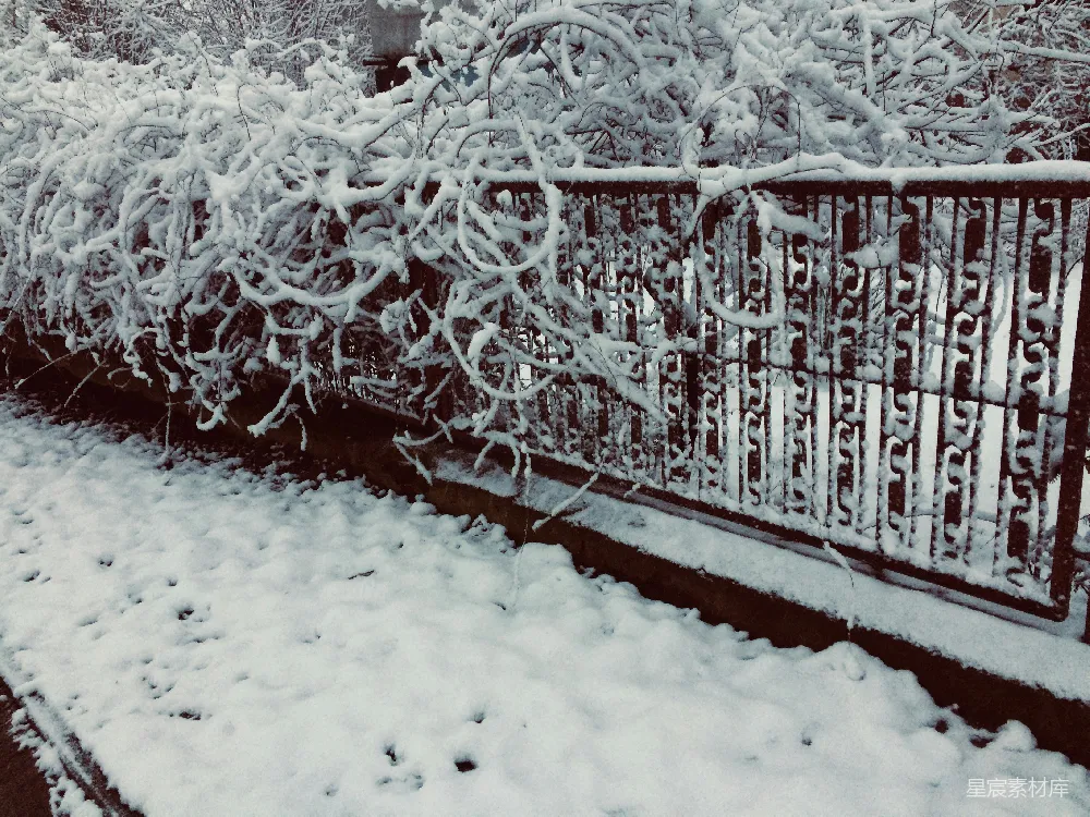高清摄影 冬季 雪景 铁艺 户外 宁静 雪后的铁艺栏杆