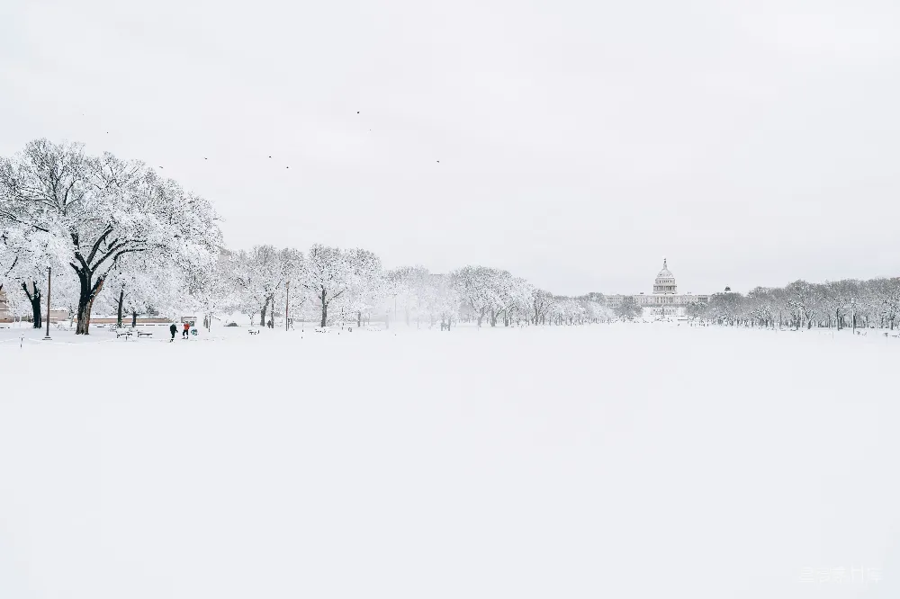 高清摄影 雪景 华盛顿 国会大厦 冬季 城市 雪后的华盛顿国会大厦