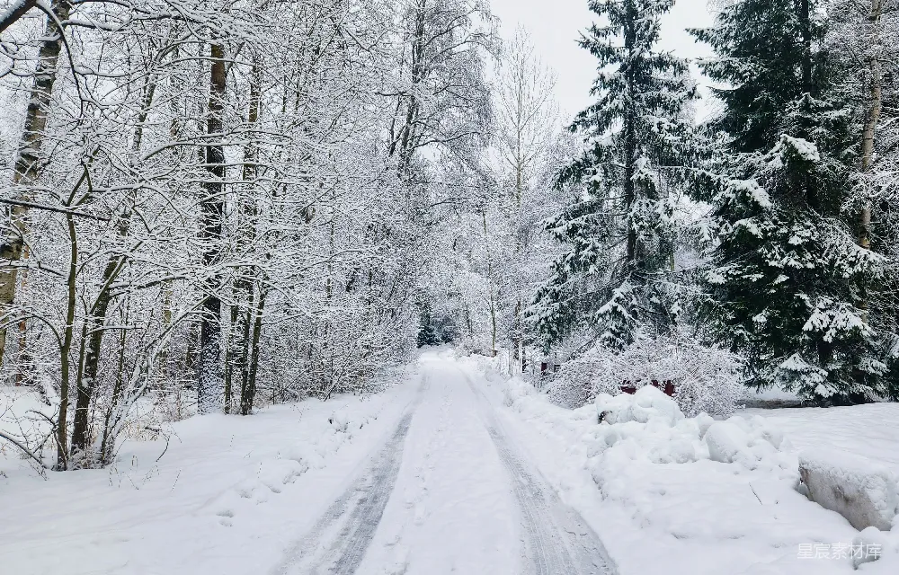 高清摄影 冬季 自然 雪景 森林 宁静 雪后的森林小径