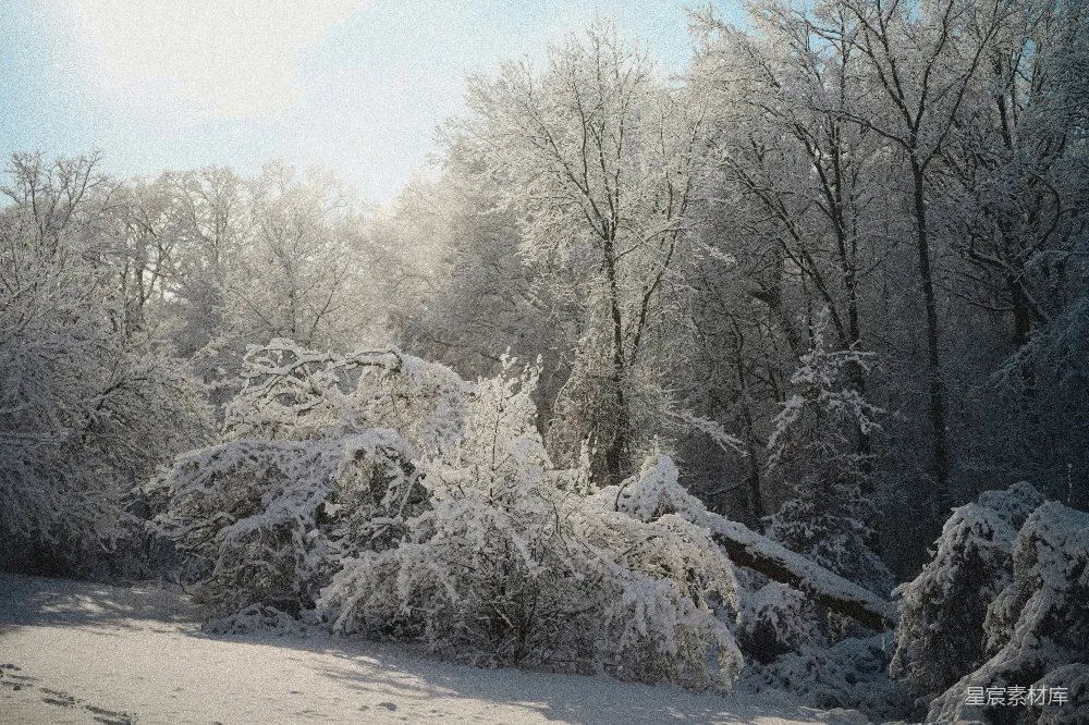 高清摄影 冬季 雪景 晨光 自然风光 户外 冬日晨曦雪景