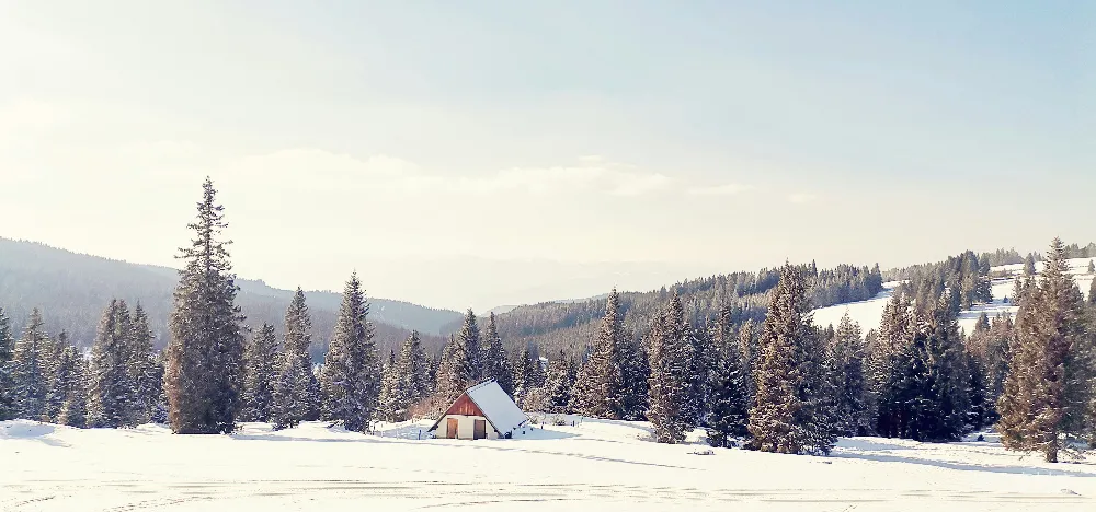 高清摄影 雪景 小屋 自然风光 冬季 宁静 冬日雪景中的小屋