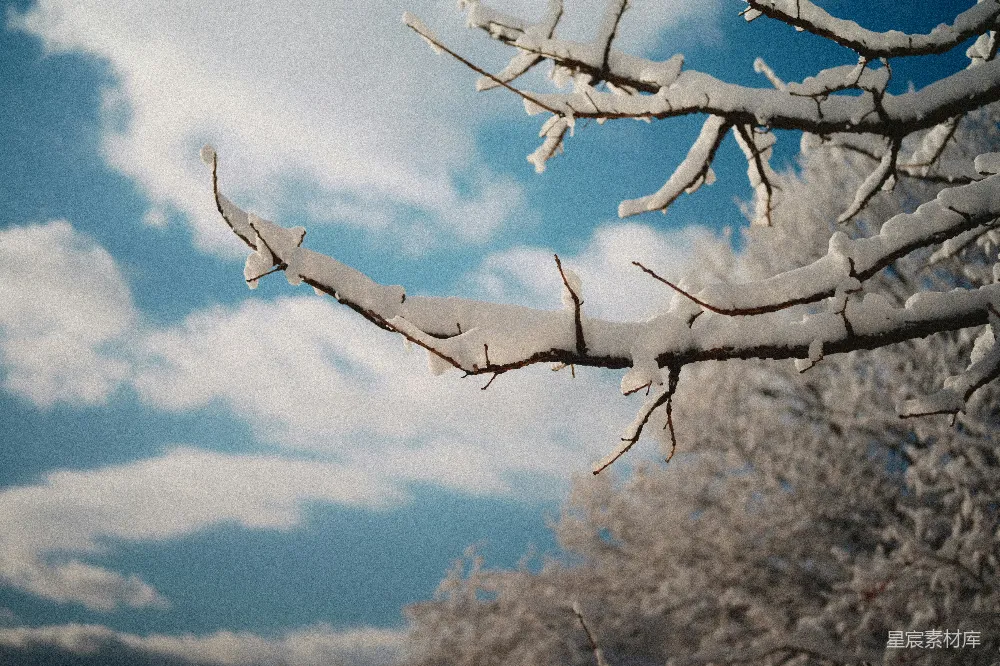 高清摄影 冬季 自然风光 雪景 宁静 户外 冬日的雪景与蓝天
