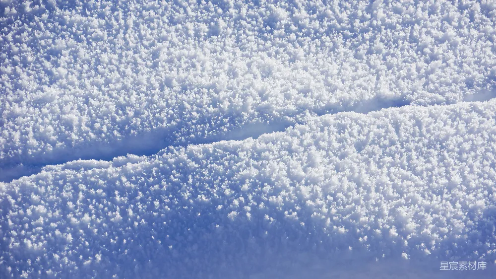 高清摄影 冬季 霜花 自然景观 寒冷 雪景 冬季霜花的美丽景象