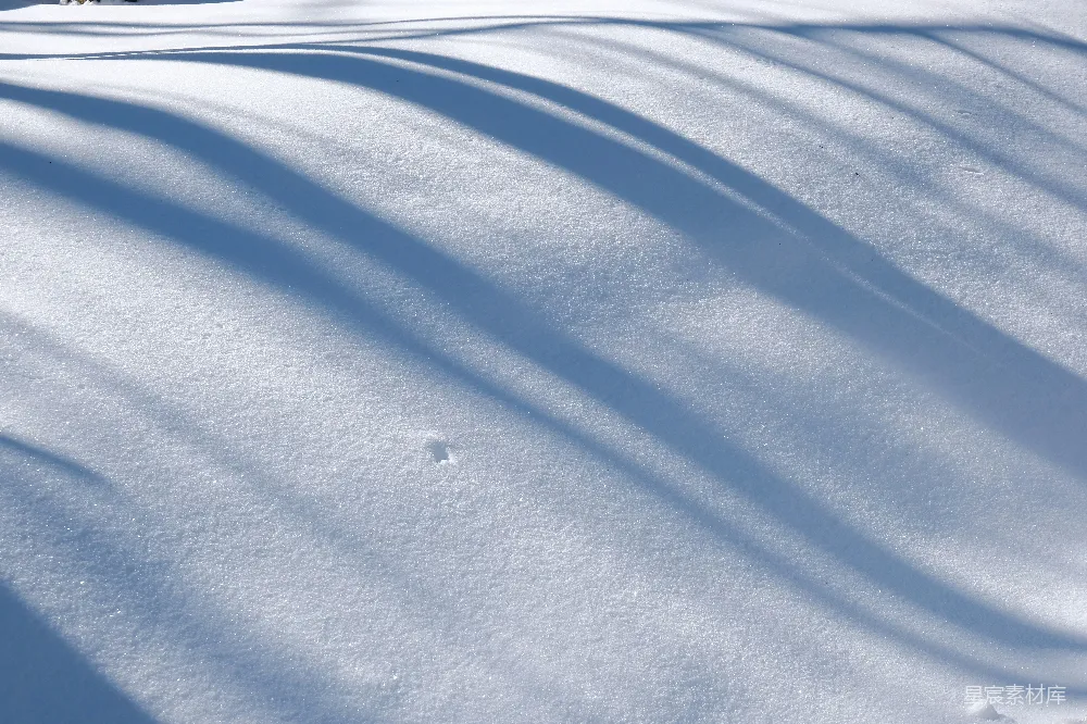 高清摄影 雪地 光影 自然 冬景 宁静 雪地上蜿蜒的影子